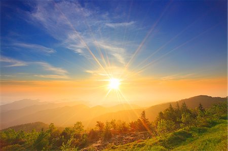 sun forest - Nagano Prefecture, Japan Stock Photo - Rights-Managed, Code: 859-07441960