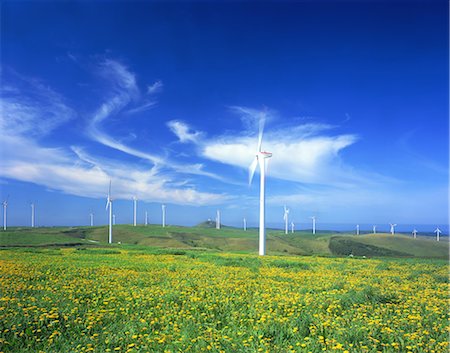 energy windmill hills - Dandelion field Stock Photo - Rights-Managed, Code: 859-07441986