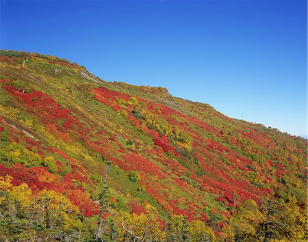 simsearch:859-07442023,k - Autumn colors Foto de stock - Con derechos protegidos, Código: 859-07441987