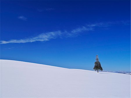 simsearch:859-07442223,k - Biei, Hokkaido Stock Photo - Rights-Managed, Code: 859-07442081