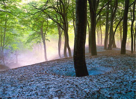 forest japan - Nagano Prefecture, Japan Photographie de stock - Rights-Managed, Code: 859-07442103