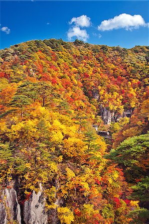 Autumn colors Fotografie stock - Rights-Managed, Codice: 859-07442123