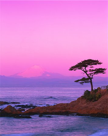 snow with one tree - Mount Fuji, Japan Stock Photo - Rights-Managed, Code: 859-07442130