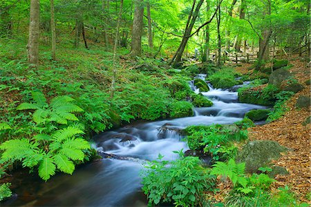 Tochigi Prefecture, Japan Foto de stock - Con derechos protegidos, Código: 859-07442163