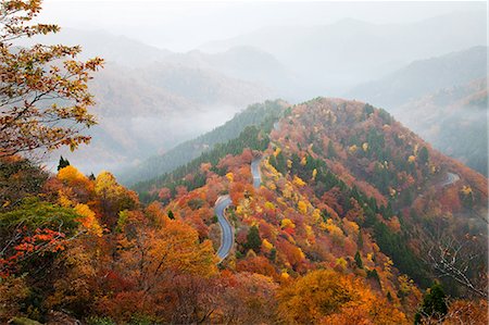 Autumn colors Stock Photo - Rights-Managed, Code: 859-07442197