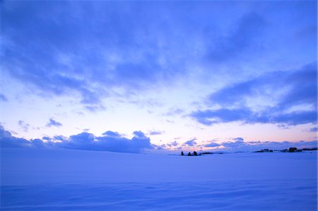 quiet nature, winter - Biei, Hokkaido Stock Photo - Rights-Managed, Code: 859-07442252