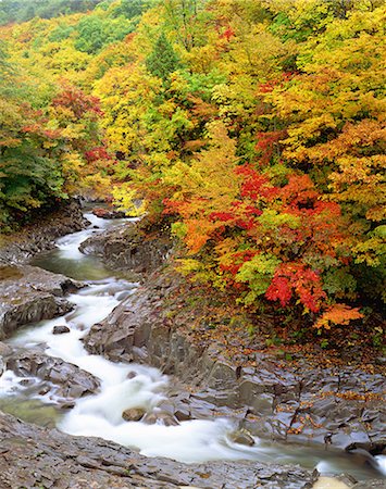 Autumn colors Stock Photo - Rights-Managed, Code: 859-07442279