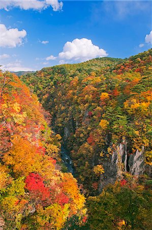 Autumn colors Photographie de stock - Rights-Managed, Code: 859-07442309