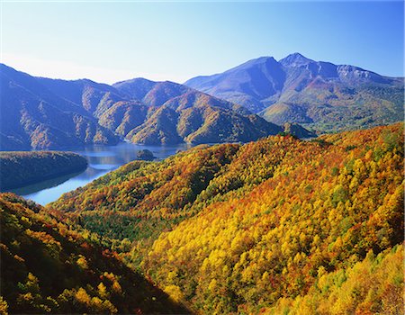 forest japan - Autumn colors Photographie de stock - Rights-Managed, Code: 859-07442329