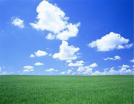 Grassland and sky Foto de stock - Con derechos protegidos, Código: 859-07442355