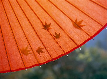 simsearch:859-03040523,k - Japanese paper parasol and maple leaves Stock Photo - Rights-Managed, Code: 859-07442380