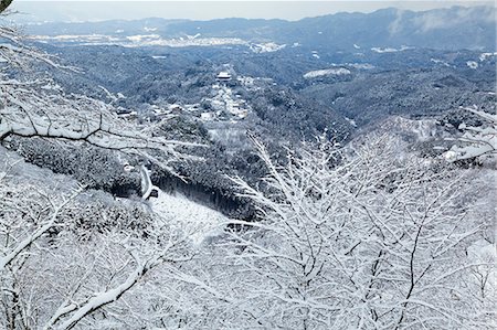 simsearch:859-07495613,k - Nara, Japan Foto de stock - Con derechos protegidos, Código: 859-07495202