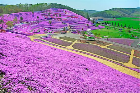 Hokkaido, Japan Foto de stock - Con derechos protegidos, Código: 859-07495262