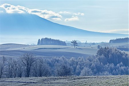 Biei, Hokkaido Fotografie stock - Rights-Managed, Codice: 859-07495277