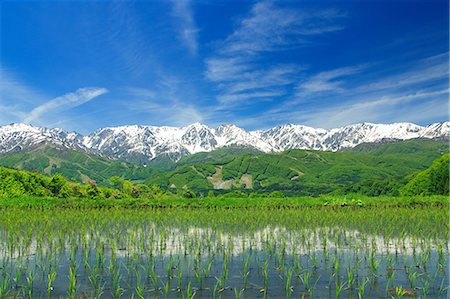 Northern Alps, Japan Stockbilder - Lizenzpflichtiges, Bildnummer: 859-07495297