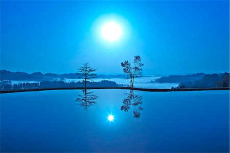 rice field silhouette - Rice Paddy Stock Photo - Rights-Managed, Code: 859-07495293