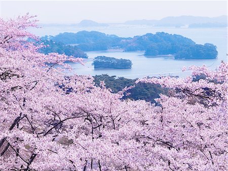 park island - Miyagi Prefecture, Japan Foto de stock - Con derechos protegidos, Código: 859-07495409