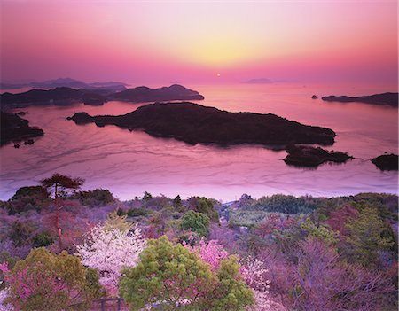 spring tree nobody flower pink sky - Ehime Prefecture, Japan Stock Photo - Rights-Managed, Code: 859-07495429