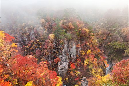 Autumn colors Fotografie stock - Rights-Managed, Codice: 859-07495442