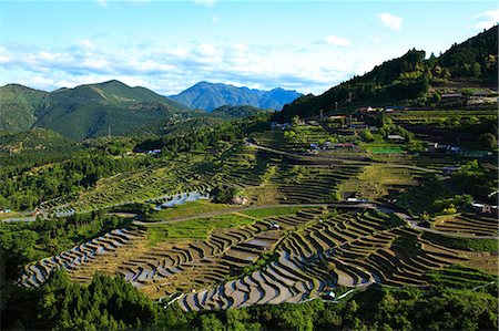 simsearch:622-06398077,k - Rice Paddy Foto de stock - Con derechos protegidos, Código: 859-07495489