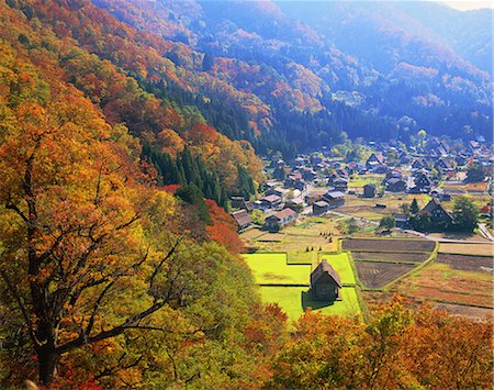 shirakawago - Autumn colors Stock Photo - Rights-Managed, Code: 859-07495506