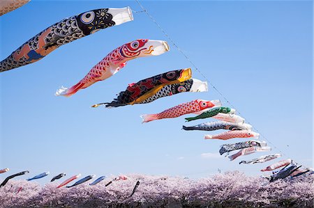 Flying carps and cherry blossoms Stock Photo - Rights-Managed, Code: 859-07495526