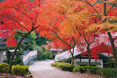 fukuoka - Autumn colors Foto de stock - Con derechos protegidos, Código: 859-07495584