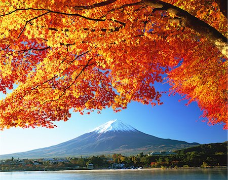 sommets enneigés - Autumn leaves and Mount Fuji Photographie de stock - Rights-Managed, Code: 859-07495596