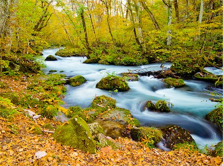 simsearch:859-08358265,k - Aomori Prefecture, Japan Foto de stock - Con derechos protegidos, Código: 859-07635770