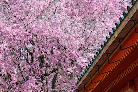 Kyoto, Japan Photographie de stock - Rights-Managed, Code: 859-07635799