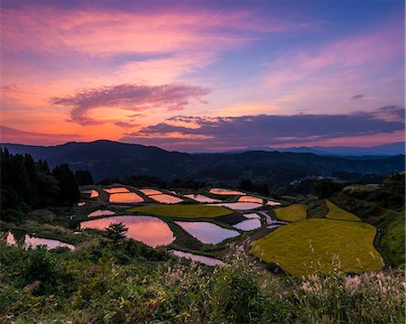 Niigata Prefecture, Japan Stock Photo - Rights-Managed, Code: 859-07635866