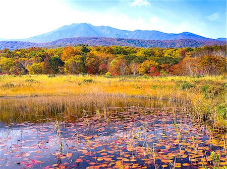 simsearch:859-07783427,k - Aomori Prefecture, Japan Foto de stock - Con derechos protegidos, Código: 859-07783268