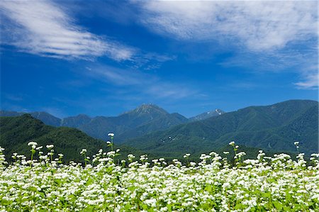 Nagano Prefecture, Japan Stock Photo - Rights-Managed, Code: 859-07783289