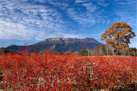 simsearch:859-07783584,k - Nagano Prefecture, Japan Stock Photo - Rights-Managed, Code: 859-07783290