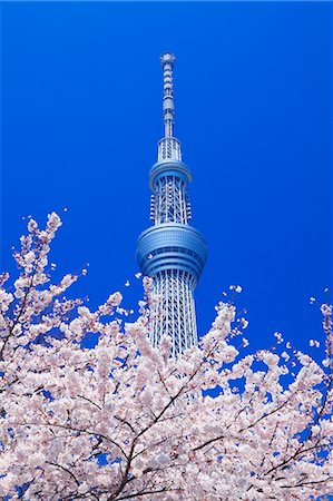 Tokyo, Japan Stock Photo - Rights-Managed, Code: 859-07783400