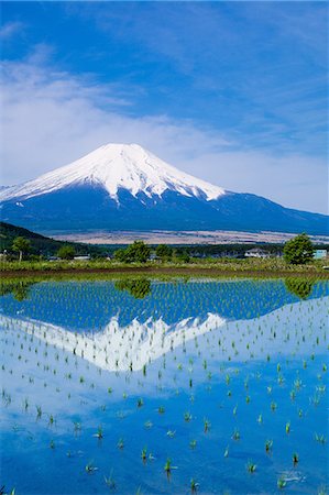 simsearch:859-07495504,k - Yamanashi Prefecture, Japan Photographie de stock - Rights-Managed, Code: 859-07783448