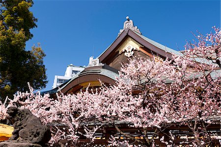 Tokyo, Japan Stockbilder - Lizenzpflichtiges, Bildnummer: 859-07783460