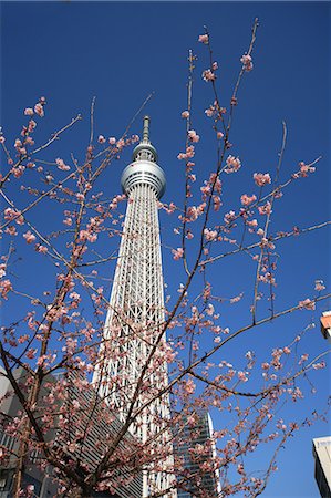 Tokyo Skytree Foto de stock - Direito Controlado, Número: 859-07845779