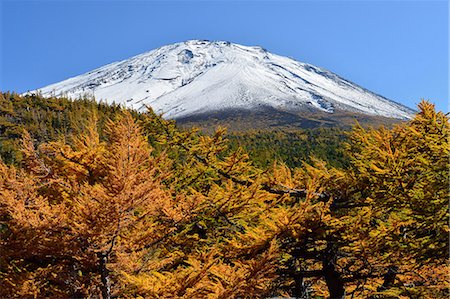 simsearch:859-08358438,k - Yamanashi Prefecture, Japan Foto de stock - Con derechos protegidos, Código: 859-08082252