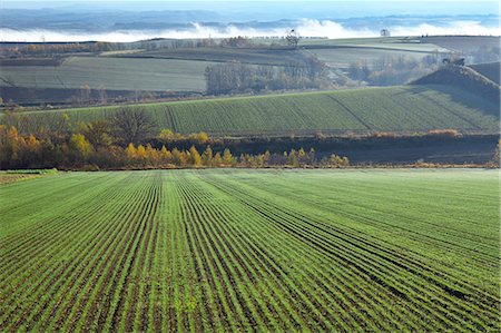 Hokkaido, Japan Photographie de stock - Rights-Managed, Code: 859-08082358