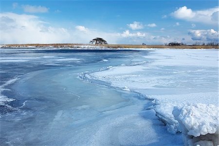 freeze dried - Hokkaido, Japan Stock Photo - Rights-Managed, Code: 859-08082351