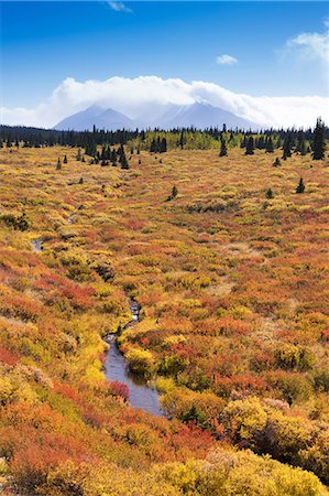 rivière yukon - Canada Photographie de stock - Rights-Managed, Code: 859-08082400