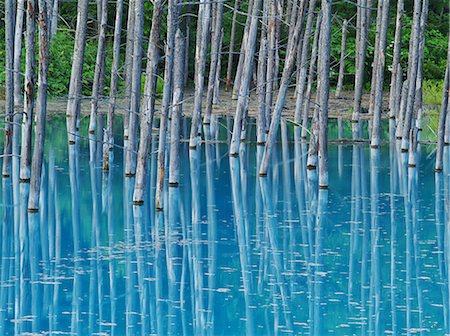 pond forest - Hokkaido, Japan Stock Photo - Rights-Managed, Code: 859-08082421
