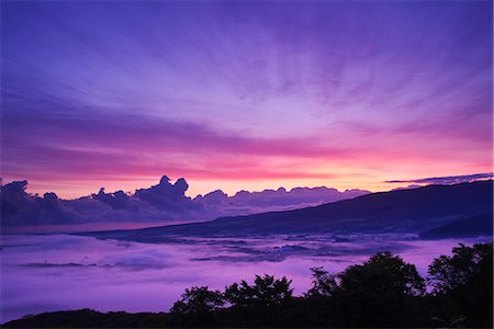 pink sky trees - Hokkaido, Japan Stock Photo - Rights-Managed, Code: 859-08082430