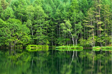 summer landscape woods - Nagano Prefecture, Japan Stock Photo - Rights-Managed, Code: 859-08082449