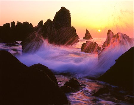 sun set of animal - Fukui Prefecture, Japan Foto de stock - Con derechos protegidos, Código: 859-08082455