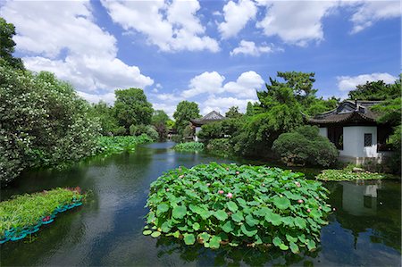simsearch:859-08082244,k - Shanghai, China Photographie de stock - Rights-Managed, Code: 859-08082583