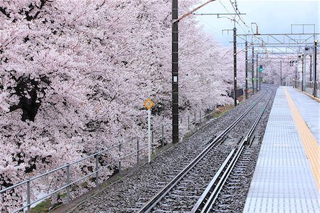 Yamanashi Prefecture, Japan Stock Photo - Rights-Managed, Code: 859-08082609