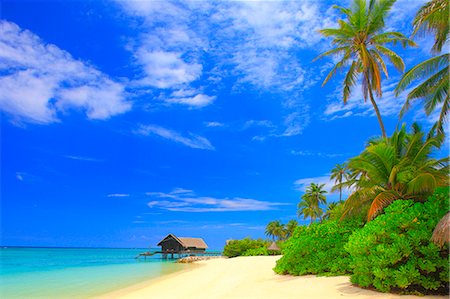 scenic tropical beach - Maldives Stock Photo - Rights-Managed, Code: 859-08357817