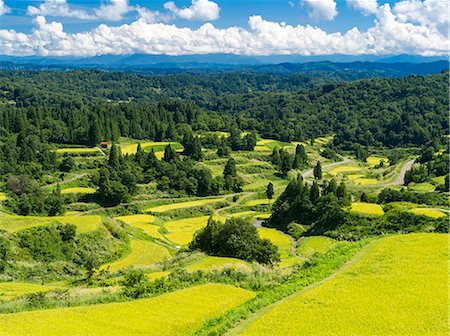 simsearch:859-07150350,k - Niigata Prefecture, Japan Photographie de stock - Rights-Managed, Code: 859-08357844
